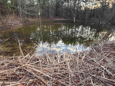 790-00918-000 Marion County 8057, Yellville, AR 72687 - photo 2