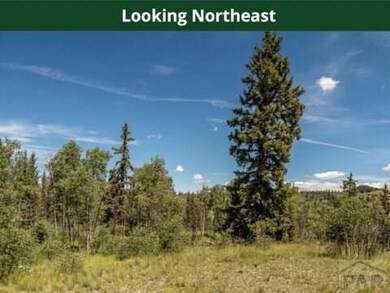 520 Rawhide Dr, Como, CO 80432 - photo 3