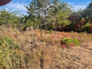 Lot 5 Jay Bird Trail, Franklin, NC 28734 - photo 3