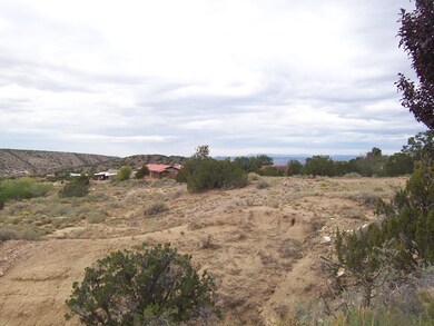8 Martin Rd, Placitas, NM 87043 - photo 6