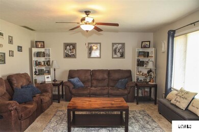 265 Lincoln Ave, Lincoln, IL 62656 - photo 3