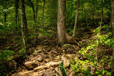 _DSC3790