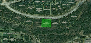 Lot 7 Arapahoe Dr, Holiday Island, AR 72631 - photo 2