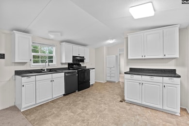 342 Isiah Hallman Rd, Gilbert, SC 29054 - photo 5