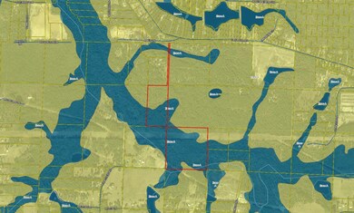 Flood Map Mae's Ln