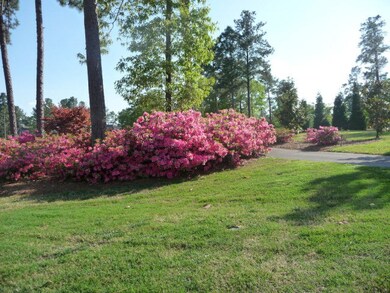 Azaleas in Bloom in Woodside