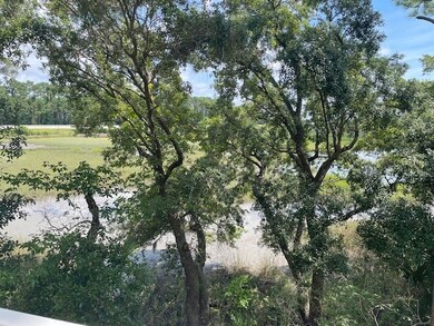 Marsh view