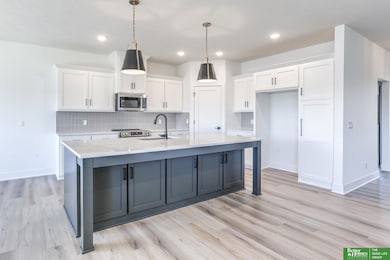 7033 N 276th St, Valley, NE 68064 - photo 7