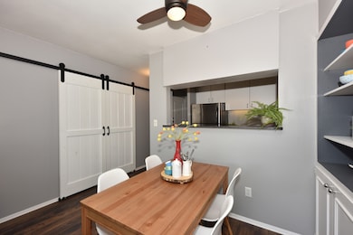 Stylin barndoor on big closet