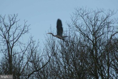 0 Purcellville Rd unit 1003404196, Purcellville, VA 20132 - photo 6