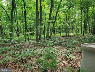 0 Parsons Rd unit WVBE2021220, Hedgesville, WV 25427 - photo 2