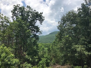 0 Chamberlain Rd unit 1301774, La Fayette, GA 30728 - photo 2