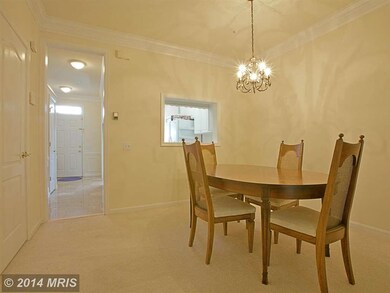 1728 Osage St unit 1728, Alexandria, VA 22302 - photo 7