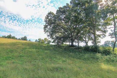 Lot 4 Lovelace Rd, Knoxville, TN 37932 - photo 6