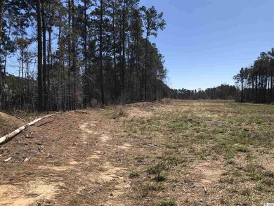 TBD Jt Barfield Rd unit 13.7 acres, Conway, SC 29527 - photo 3