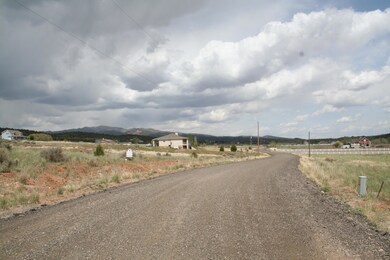 Looking North