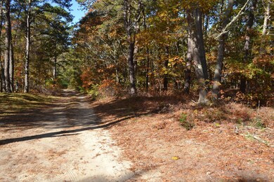 0 Columbian Ave unit 31292, Oak Bluffs, MA 02568 - photo 2