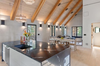 737 W Galena Ave, Telluride, CO 81320 - photo 2