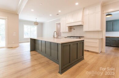 1009 Cane Manor Ct unit 3, Waxhaw, NC 28173 - photo 2