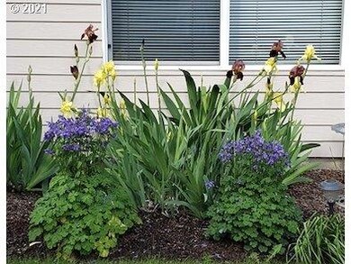 964 S Pine St, Canby, OR 97013 - photo 4