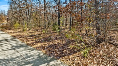 Lot 8 Ridge Rd, Bella Vista, AR 72715 - photo 4