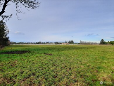 Looking in from the SE corner of the property next to the Discovery Trail