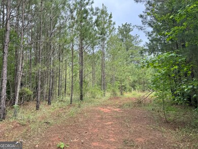 8 Emmaus Dr, Elberton, GA 30635 - photo 6