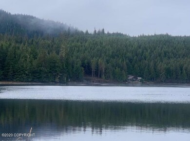 IMG_2494