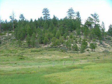 5-GD-Meadow and Trees