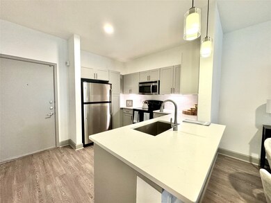 3333 Weslayan St unit 2153, Houston, TX 77027 - photo 5