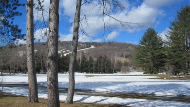 111 Lakeland Dr unit 1B, Hartford, VT 05001 - photo 3