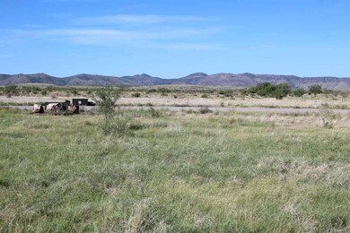 Tract 85 Sierra La Rana, Alpine, TX 79830 - photo 2