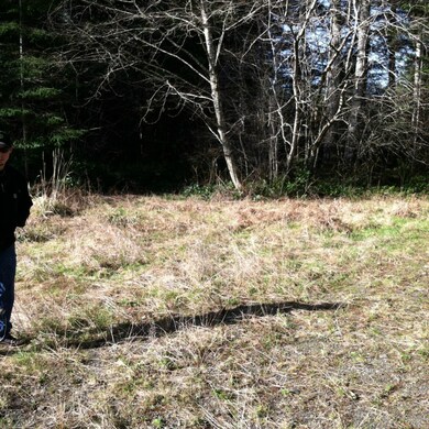 67 Badger Rd, Hoquiam, WA 98550 - photo 5