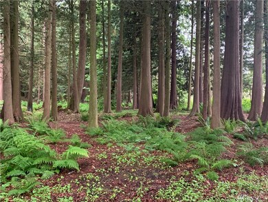 2125 E Badger Rd, Everson, WA 98247 - photo 7