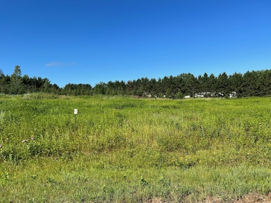 1201 Tyler Ave NE, Bemidji, MN 56601 - photo 3