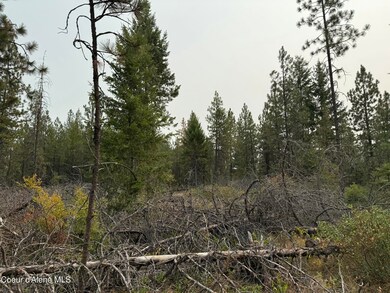 NKA W Remington Rd, Athol, ID 83801 - photo 5