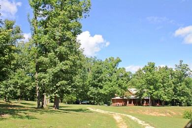 2486 Armstrong Rd, Linden, TN 37096 - photo 6