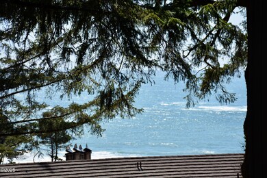 View - zoomed in