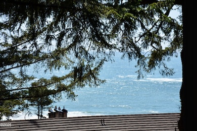 View - zoomed in