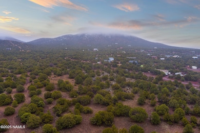 2409 E New Moon Way, Red Lake, AZ 86046 - photo 7