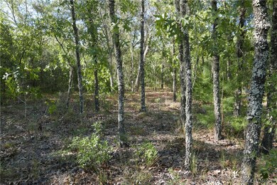 Standing further in the property looking towards t