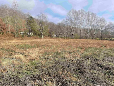 Lots E and F Beechy Creek Rd, South Shore, KY 41175 - photo 2