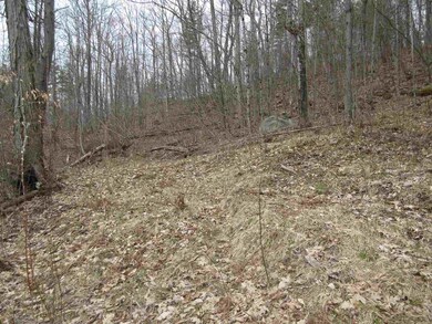 5732 Monument Hill Rd unit Lot 1, Castleton, VT 05735 - photo 6