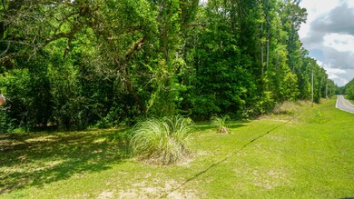 4.71 Ac Ward Pineview Rd, Lucedale, MS 39452 - photo 2