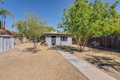 Large fenced yard
