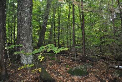 8 Amber Ln, Windham, ME 04062 - photo 5