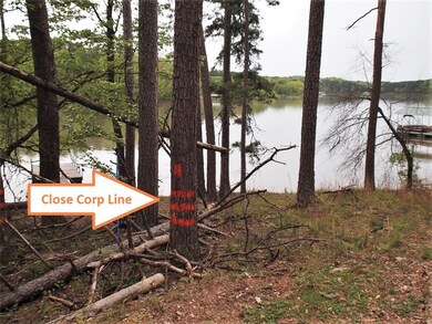 00 Ridgemore Dr unit Lot 18, Toccoa, GA 30577 - photo 3