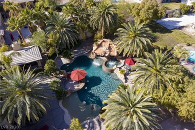 Aerial view of the backyard featuring the pool and