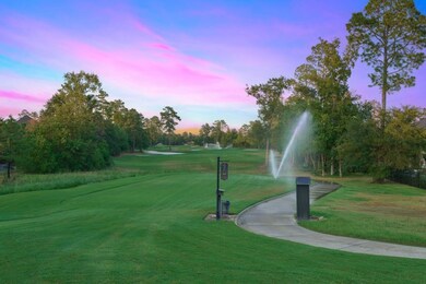 6 Chivary Oaks Ct, Spring, TX 77382 - photo 6