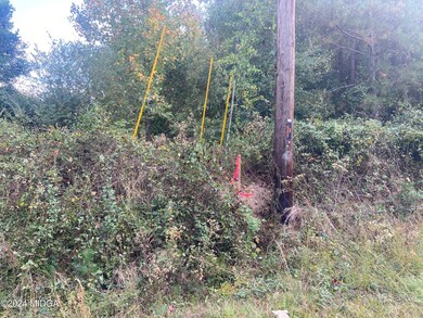 0 Moseley Rd unit 180362, Byron, GA 31008 - photo 6